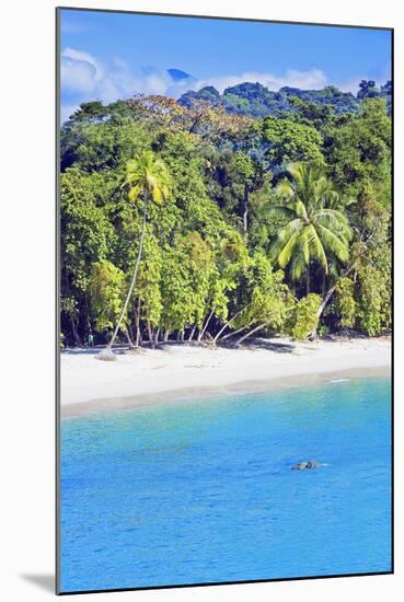 Tropical Beach, Manuel Antonio National Park, Costa Rica-Marco Simoni-Mounted Photographic Print