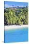 Tropical Beach, Manuel Antonio National Park, Costa Rica-Marco Simoni-Stretched Canvas