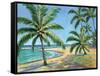 Tropical Beach - Mini-Todd Williams-Framed Stretched Canvas