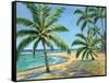 Tropical Beach - Mini-Todd Williams-Framed Stretched Canvas