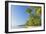 Tropical Beach, Nanuya Lailai Island, Yasawa Island Group, Fiji, South Pacific Islands, Pacific-Marco Simoni-Framed Photographic Print