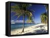 Tropical Beach on Isla de la Juventud, Cuba-Gavriel Jecan-Framed Stretched Canvas