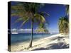 Tropical Beach on Isla de la Juventud, Cuba-Gavriel Jecan-Stretched Canvas