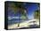 Tropical Beach on Isla de la Juventud, Cuba-Gavriel Jecan-Framed Stretched Canvas