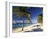 Tropical Beach on Isla de la Juventud, Cuba-Gavriel Jecan-Framed Premium Photographic Print