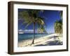 Tropical Beach on Isla de la Juventud, Cuba-Gavriel Jecan-Framed Photographic Print