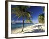 Tropical Beach on Isla de la Juventud, Cuba-Gavriel Jecan-Framed Photographic Print