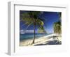 Tropical Beach on Isla de la Juventud, Cuba-Gavriel Jecan-Framed Photographic Print