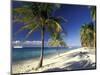 Tropical Beach on Isla de la Juventud, Cuba-Gavriel Jecan-Mounted Photographic Print