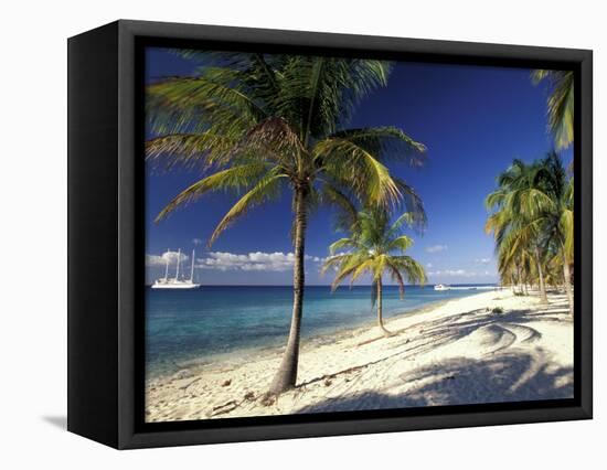 Tropical Beach on Isla de la Juventud, Cuba-Gavriel Jecan-Framed Stretched Canvas