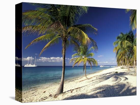 Tropical Beach on Isla de la Juventud, Cuba-Gavriel Jecan-Stretched Canvas