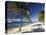 Tropical Beach on Isla de la Juventud, Cuba-Gavriel Jecan-Stretched Canvas