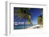 Tropical Beach on Isla de la Juventud, Cuba-Gavriel Jecan-Framed Photographic Print