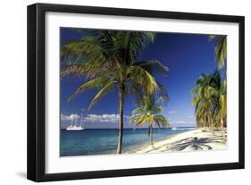 Tropical Beach on Isla de la Juventud, Cuba-Gavriel Jecan-Framed Art Print