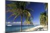 Tropical Beach on Isla de la Juventud, Cuba-Gavriel Jecan-Mounted Premium Giclee Print