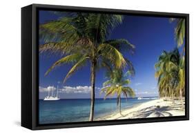 Tropical Beach on Isla de la Juventud, Cuba-Gavriel Jecan-Framed Stretched Canvas