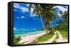 Tropical Beach on Samoa Island with Palm Trees and Dirt Road-Martin Valigursky-Framed Stretched Canvas