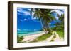 Tropical Beach on Samoa Island with Palm Trees and Dirt Road-Martin Valigursky-Framed Photographic Print