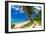 Tropical Beach on Samoa Island with Palm Trees and Dirt Road-Martin Valigursky-Framed Photographic Print