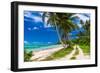 Tropical Beach on Samoa Island with Palm Trees and Dirt Road-Martin Valigursky-Framed Photographic Print