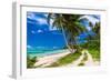 Tropical Beach on Samoa Island with Palm Trees and Dirt Road-Martin Valigursky-Framed Photographic Print