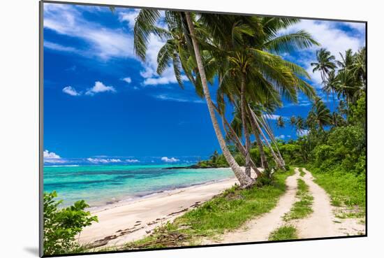 Tropical Beach on Samoa Island with Palm Trees and Dirt Road-Martin Valigursky-Mounted Photographic Print