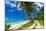 Tropical Beach on Samoa Island with Palm Trees and Dirt Road-Martin Valigursky-Mounted Photographic Print