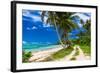 Tropical Beach on Samoa Island with Palm Trees and Dirt Road-Martin Valigursky-Framed Photographic Print