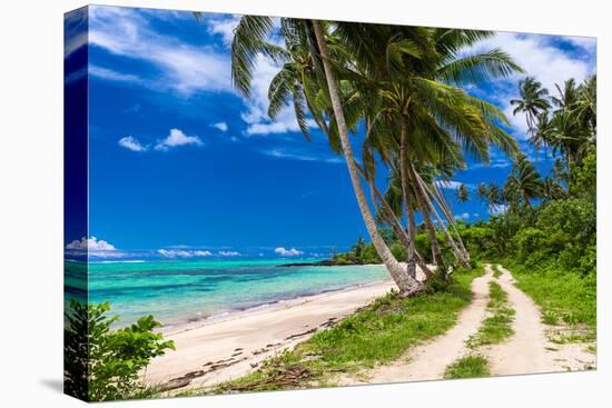 Tropical Beach on Samoa Island with Palm Trees and Dirt Road-Martin Valigursky-Stretched Canvas