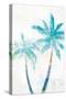 Tropical Beach Palm 1 V3-Lula Bijoux-Stretched Canvas