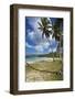 Tropical Beach, Playa Rincon, Samana Peninsula, Dominican Republic-Massimo Borchi-Framed Photographic Print