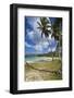 Tropical Beach, Playa Rincon, Samana Peninsula, Dominican Republic-Massimo Borchi-Framed Photographic Print