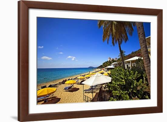 Tropical Beach Resort St Thomas Virgin Islands-George Oze-Framed Photographic Print