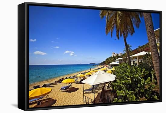 Tropical Beach Resort St Thomas Virgin Islands-George Oze-Framed Stretched Canvas