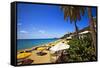 Tropical Beach Resort St Thomas Virgin Islands-George Oze-Framed Stretched Canvas