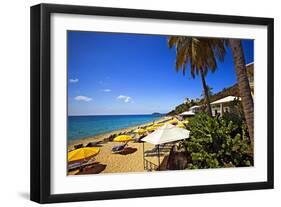 Tropical Beach Resort St Thomas Virgin Islands-George Oze-Framed Photographic Print