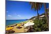 Tropical Beach Resort St Thomas Virgin Islands-George Oze-Mounted Photographic Print