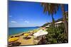 Tropical Beach Resort St Thomas Virgin Islands-George Oze-Mounted Photographic Print