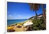 Tropical Beach Resort St Thomas Virgin Islands-George Oze-Framed Photographic Print