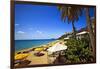 Tropical Beach Resort St Thomas Virgin Islands-George Oze-Framed Photographic Print