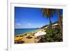 Tropical Beach Resort St Thomas Virgin Islands-George Oze-Framed Photographic Print