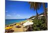 Tropical Beach Resort St Thomas Virgin Islands-George Oze-Mounted Photographic Print