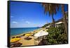 Tropical Beach Resort St Thomas Virgin Islands-George Oze-Framed Stretched Canvas