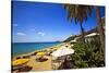 Tropical Beach Resort St Thomas Virgin Islands-George Oze-Stretched Canvas