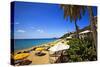 Tropical Beach Resort St Thomas Virgin Islands-George Oze-Stretched Canvas
