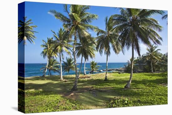 Tropical Beach, Samana Peninsula, Dominican Republic-Massimo Borchi-Stretched Canvas