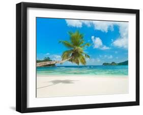 Tropical beach, Seychelles (detail)-null-Framed Giclee Print