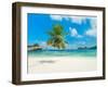Tropical beach, Seychelles (detail)-null-Framed Giclee Print