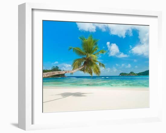 Tropical beach, Seychelles (detail)-null-Framed Giclee Print