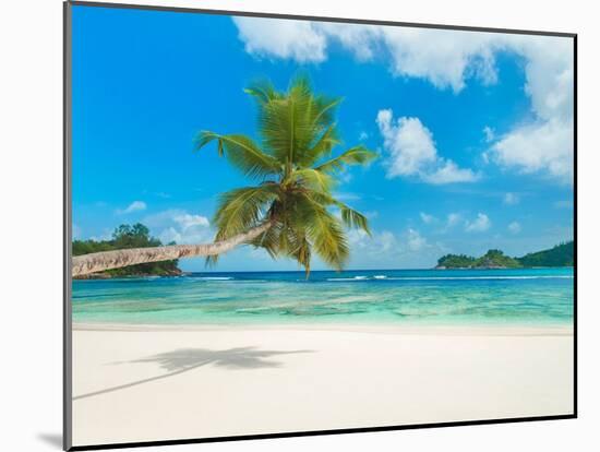 Tropical beach, Seychelles (detail)-null-Mounted Giclee Print